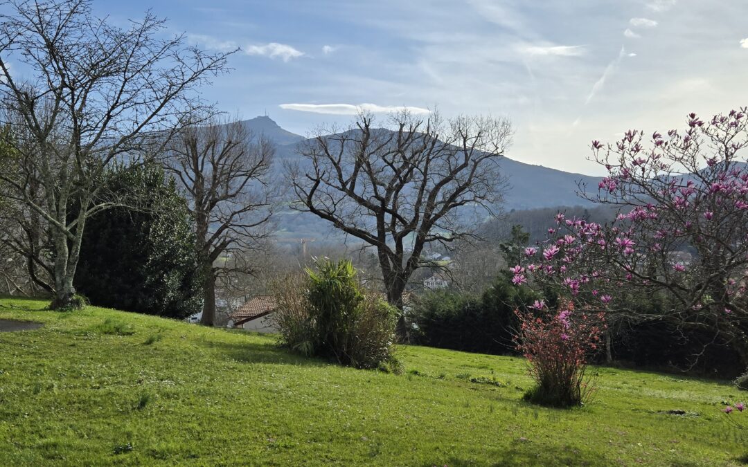 Terrain à vendre Ascain
