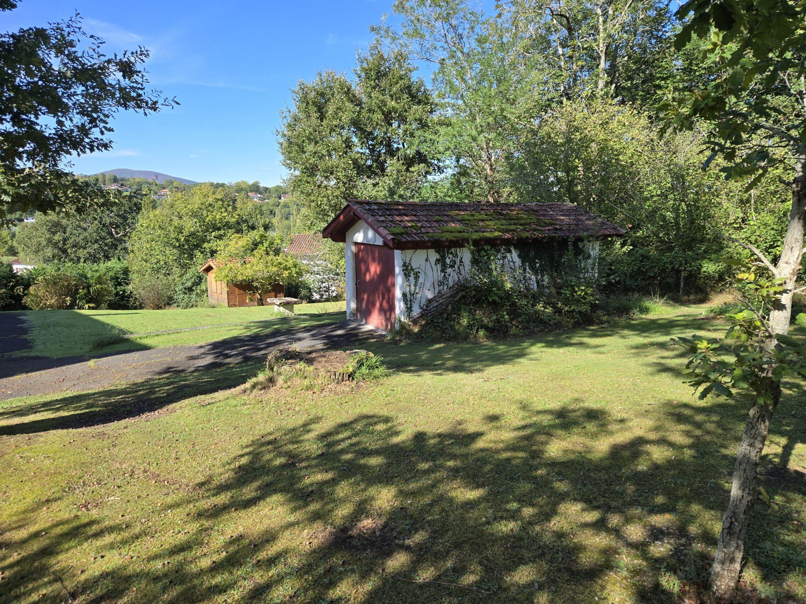 terrain à vendre ascain