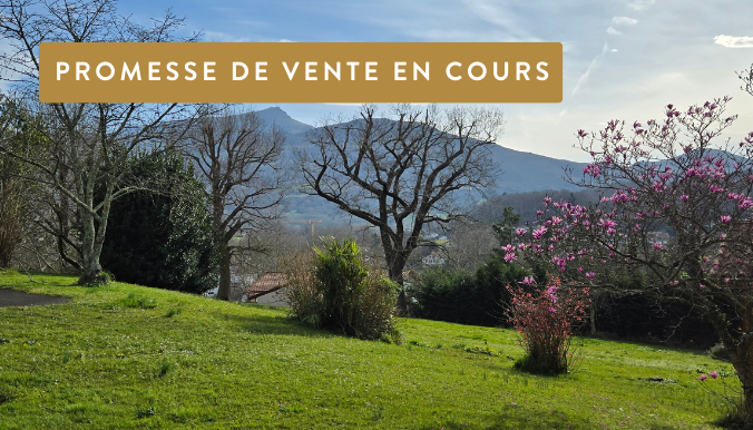 appartement à vendre hendaye